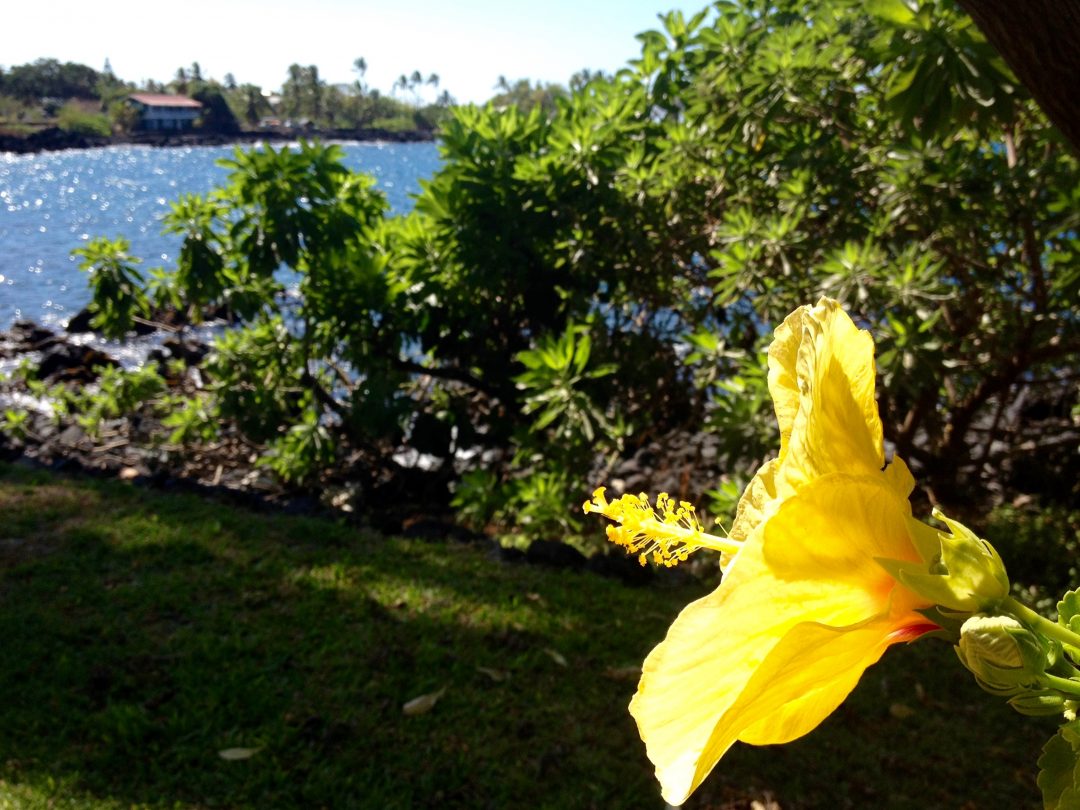 Aloha! Im Hawaii-Traum baden - Liquid Bodywork®